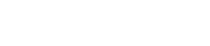 P300 Logo