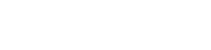 P300 Logo